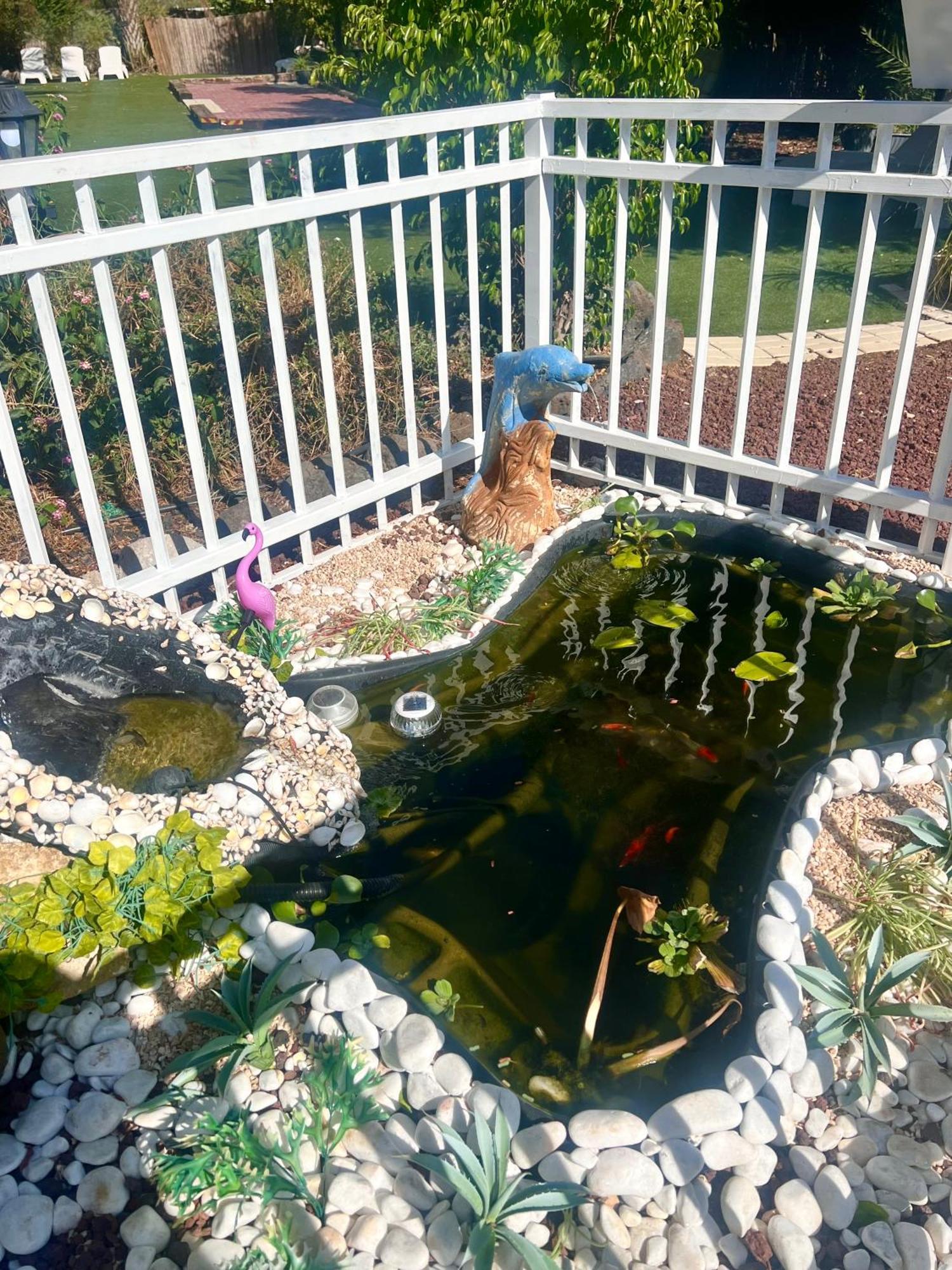 Magical In The Galilee Motel Кирият Шмона Екстериор снимка