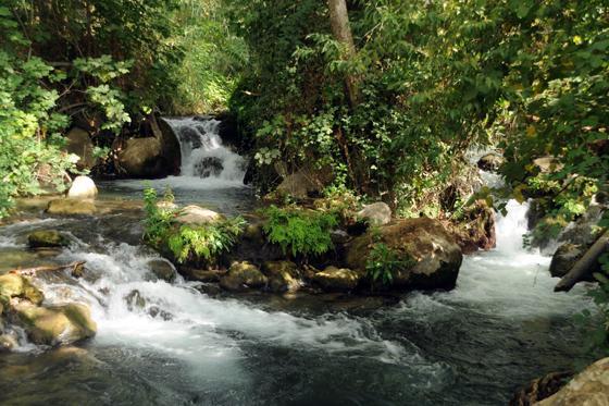 Magical In The Galilee Motel Кирият Шмона Екстериор снимка